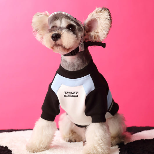 Suéter con Cierre para Perro - Diseño Acolchado y Cómodo - Image 6