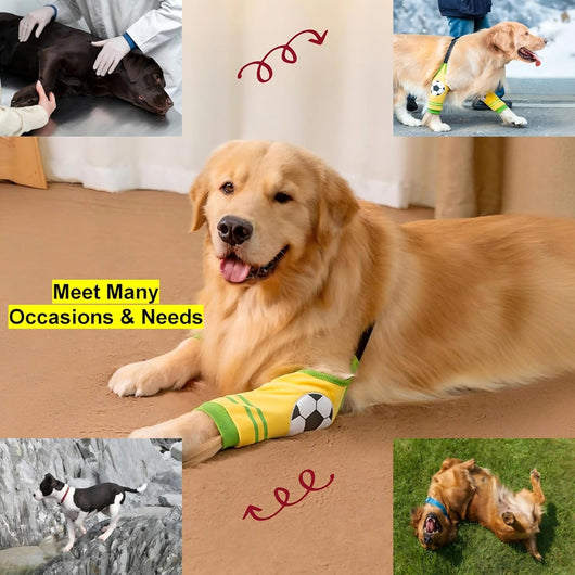 Traje de Rehabilitación Canino con Protección de Articulaciones - Image 18