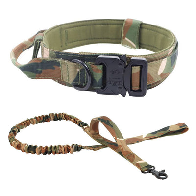 Collar Táctico Personalizado para Perros - Image 18