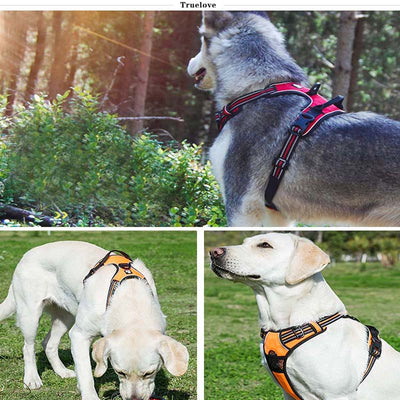 Arnés de Seguridad Reflectante Ajustable para Perros Grandes y Medianos - Image 12