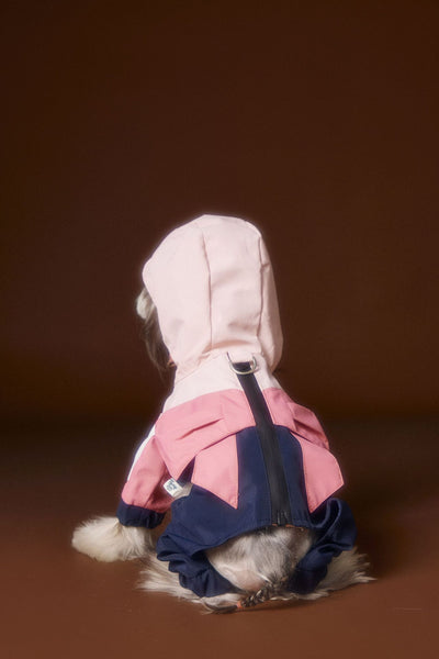 Ropa Deportiva para Perros Bichon Schnauzer con Arnés de Seguridad VIP - Image 12