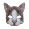 Gato Ragdoll