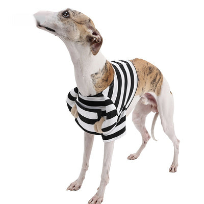Disfraz de Halloween para Perros con Rayas Divertidas - Image 10