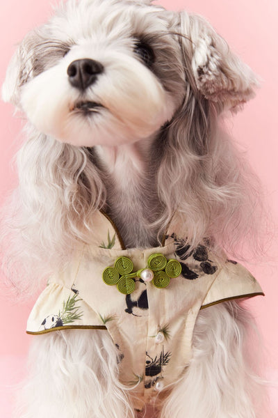 Chaleco sin Mangas Estilo Chino para Mascotas - Diseño Panda Teddy Schnauzer Bichón - Image 37