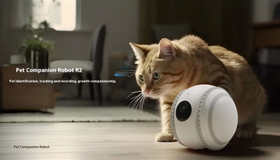 Gato Robot Inteligente con Monitoreo en Vivo - Image 15