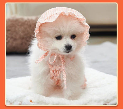 Conjunto de Ropa para Perro Mono Naranja con Gorro - Outfit Fashionable para Mascotas Pequeñas - Image 10