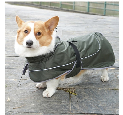Abrigo Térmico Protector para Perros - Image 14