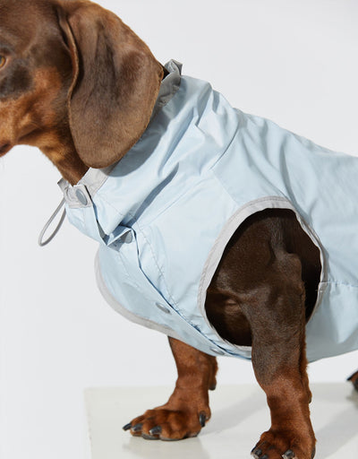 Chaleco Impermeable Ultradelgado para Perros - Protección contra Agua y Viento - Image 8