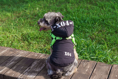 Abrigo Impermeable para Perros con Forro Polar y Capucha - Image 11