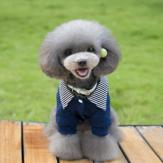 Suéter con Cuello para Perros - Image 6