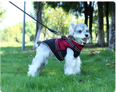Ropa Impermeable para Mascotas en Algodón Resistente - Image 9