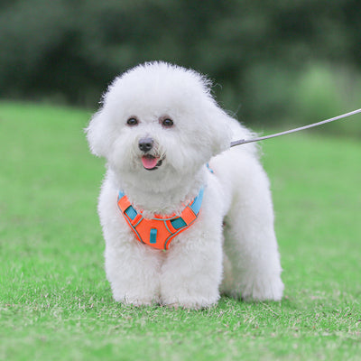 Arnés Pectoral Anti Deslizante para Mascotas Grandes con Cuerda de Tracción - Image 23