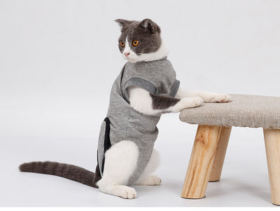 Traje de Recuperación Quirúrgica para Gatos - Protección Estéril Antiácaros - Image 8