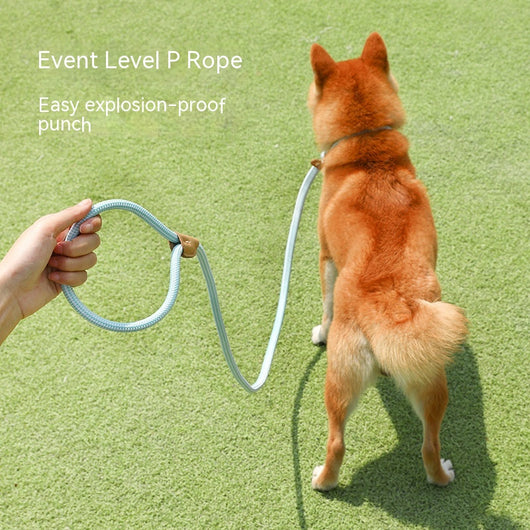 Cuerda de Tracción para Perros - Agarre Cómodo y Seguro - Image 3