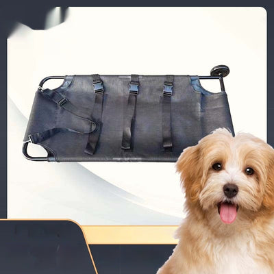 Camilla Plegable para Perros Grandes - Aluminio Resistente - Image 3