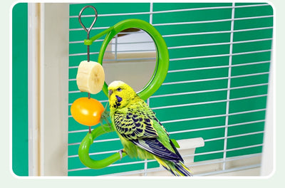 Comedero Colorido para Loros - Diseño Adorable y Resistente - Image 13