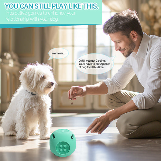 Pelota Interactiva para Perros y Gatos - Juguete Dispensador de Comida con Silicona Segura - Image 3