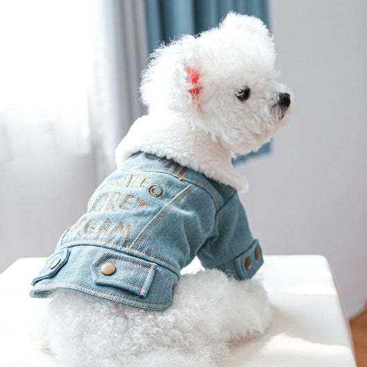 Abrigo de Mezclilla Gruesa para Mascotas con Letras Estampadas - Image 15