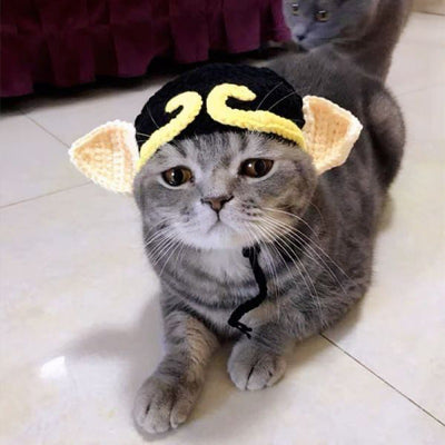 Gorro de Lana Tejido para Mascotas Estilo Británico - Primavera y Verano - Image 11