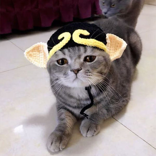 Gorro de Lana Tejido para Mascotas Estilo Británico - Primavera y Verano - Image 11
