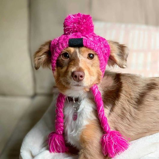 Gorro Tejido para Perros con Bola Peluda - Cálido y Resistente al Viento - Image 7