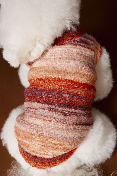 Chaleco Sin Mangas para Mascotas Schnauzer Bichón Rayas Arcoíris Variegadas - Image 29