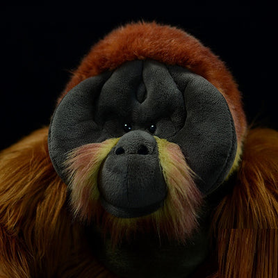 Peluche Orangután de Algodón PP - Juguete Suave y Adorable - Image 5