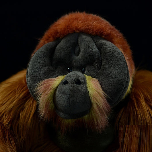Peluche Orangután de Algodón PP - Juguete Suave y Adorable - Image 5