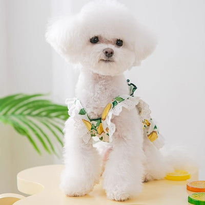 Falda Arnés Transpirable para Perros - Ropa Ligera y Cómoda - Image 3