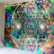 XLLP 06 95 X 73 Cm Brushed