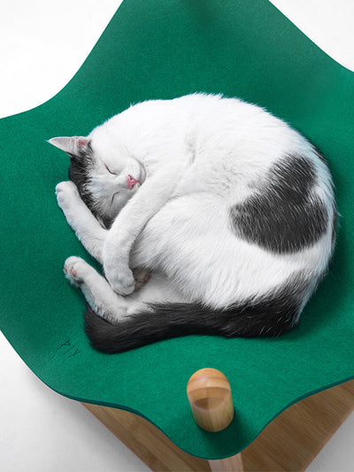 Árbol Rascador para Gatos con Nido Fácil de Limpiar - Image 8