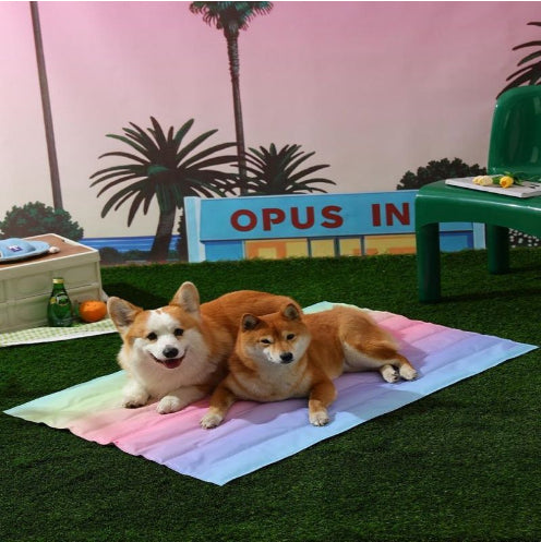 Colchoneta Refrescante de Gel para Perros - Impermeable y Duradera - Image 31