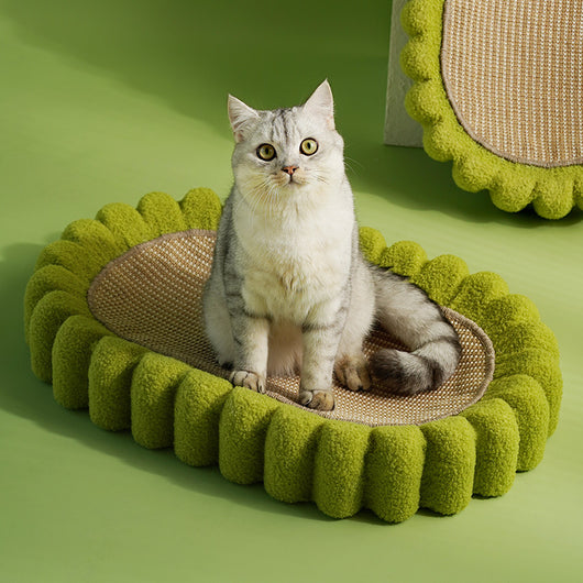 Rascador Ovalado para Gatos con Cuenco - Protector de Muebles y Nido Acogedor - Image 10