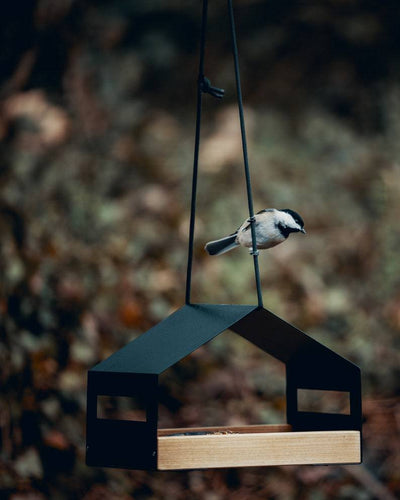 Comedero Colgante para Pájaros - Decoración de Jardín Exterior - Image 17