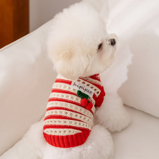 Suéter Tejido para Perros y Gatos - Abrigo Cálido de Invierno con Diseño Calado - Image 9