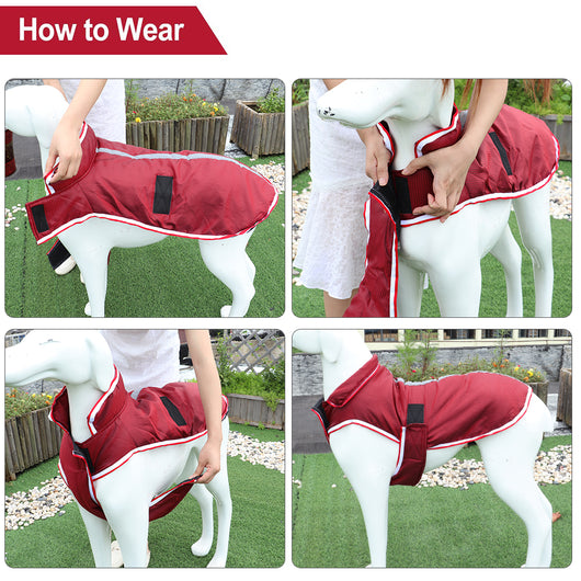 Abrigo Impermeable Cálido para Mascotas - Otoño e Invierno - Image 5
