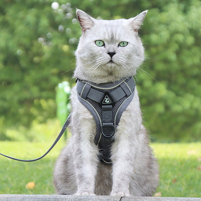 Correa de Seguridad Antigolpe para Gatos con Cadena Plateada Degradada - Image 16