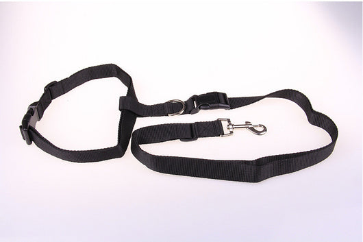 Cuerda de Tracción Especial para Correr con Perro - Image 8