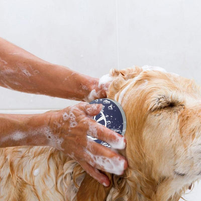 Cepillo de Baño 3 en 1 para Perros con Puntos de Masaje - Image 4