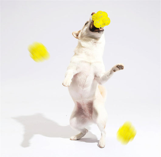 Pelota Calmante para Perros - Apoyo Emocional y Relajación - Image 3
