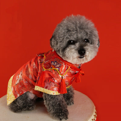 Traje Hanfu Tradicional para Mascotas - Caja de Regalo Exclusiva - Image 9
