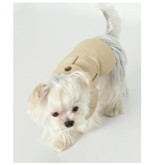 Abrigo Impermeable Británico para Perros - Ropa de Verano - Image 9