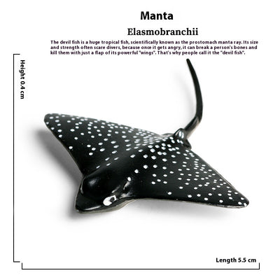 Juego Educativo de Animales Marinos Realistas para Niños - Image 23