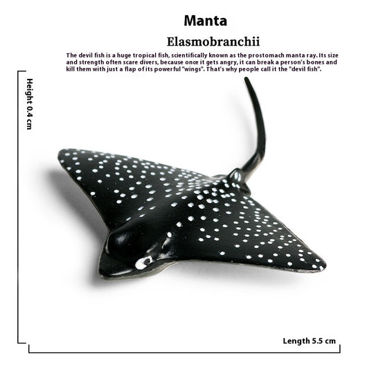 Juego Educativo de Animales Marinos Realistas para Niños - Image 23