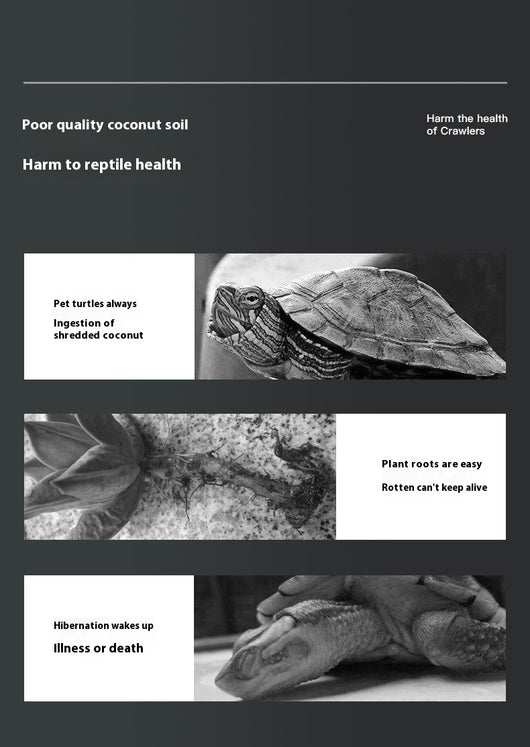 Sustrato de Coco para Tortugas - Lecho Hibernación Invierno - Image 12