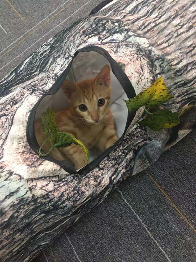 Túnel de Juego con Patrón de Árbol para Gatos y Perros - Image 9