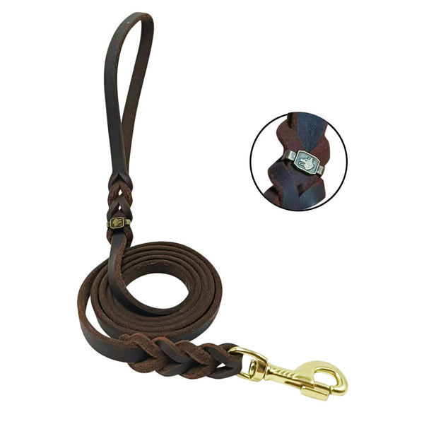 Dark brown braided leather dog leash with a gold-tone swivel snap hook, coiled on a white background.