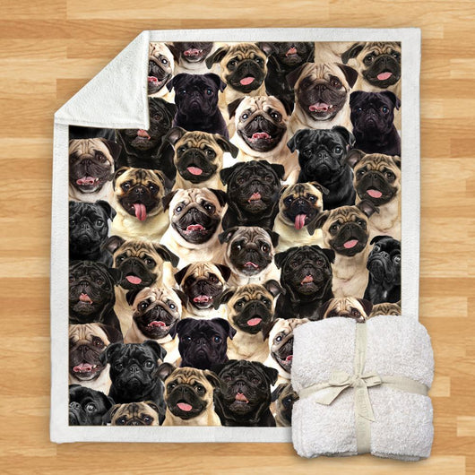 Manta de Franela Estampada para Perros de Diseño Moderno - Image 14