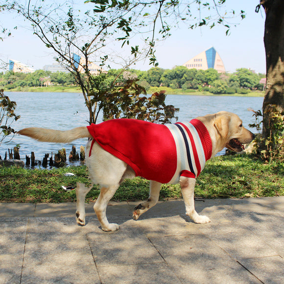 Suéter Cálido de Algodón para Perros - Abrigo Otoño e Invierno