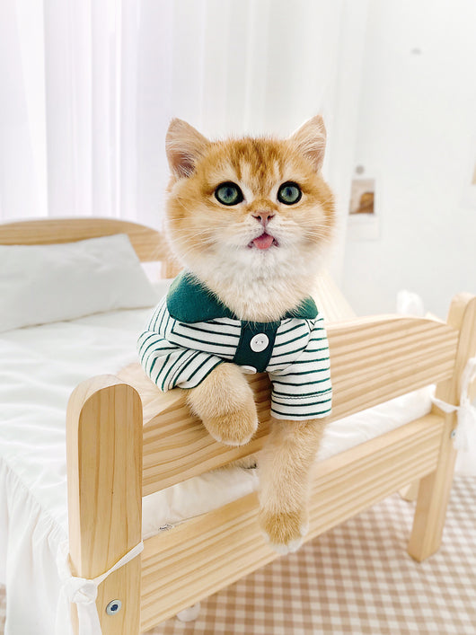 Polo a Rayas para Gatos - Ropa Adorable y Cómoda - Image 10